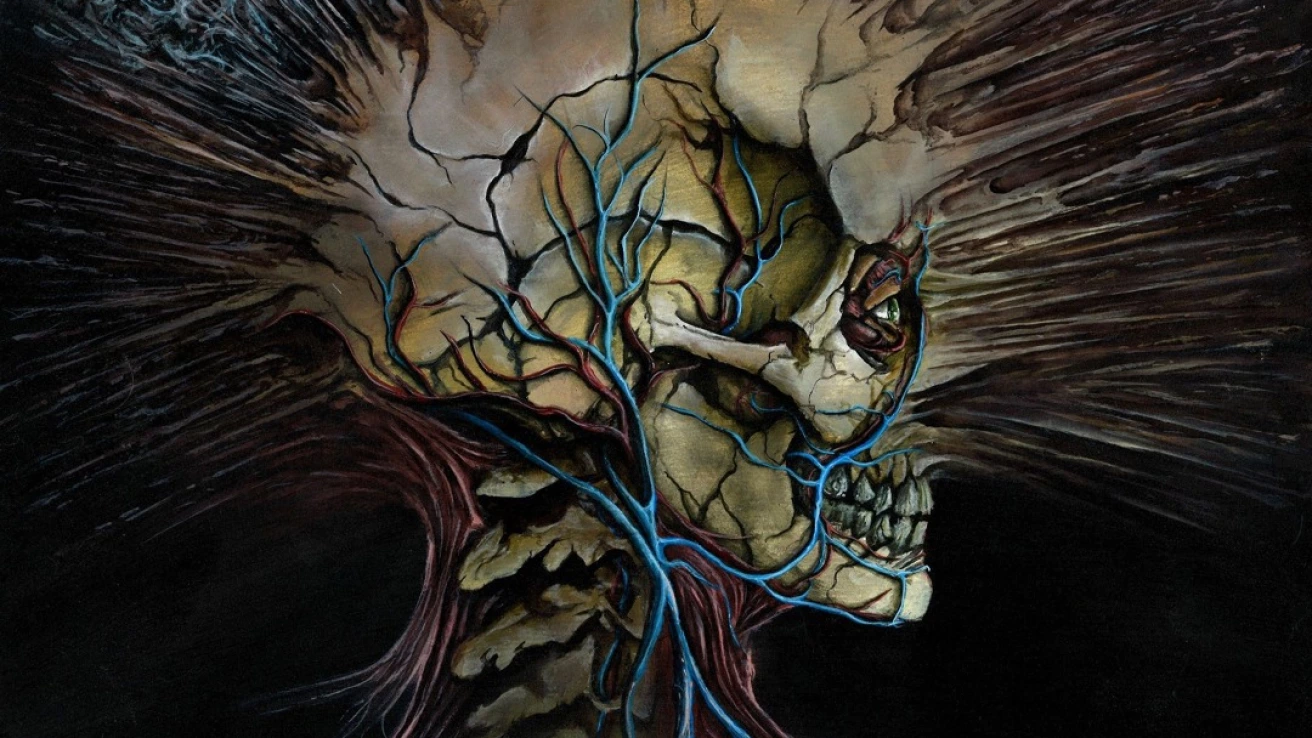 Colin Dempsey's Top Albums of 2024, image size:1312x738