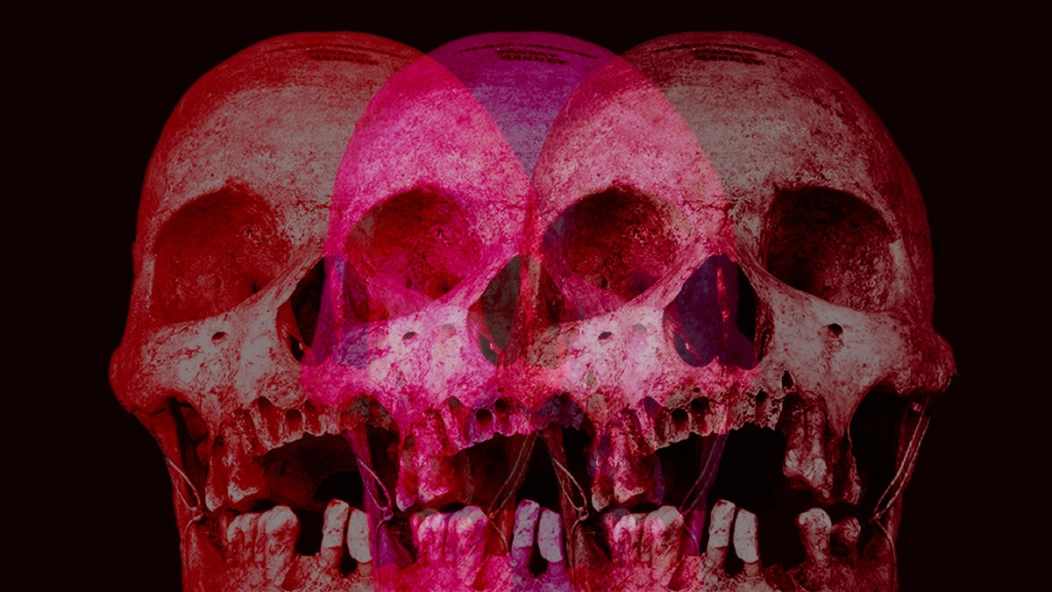 Noise Pollution 53 When It Stops Being A New Year