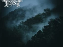 Deciduous Forest - Fields of Yore