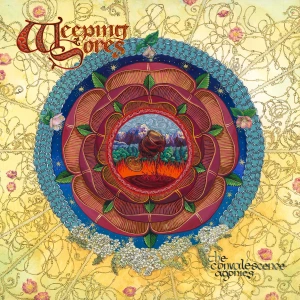 weeping sores - convalescence agonies