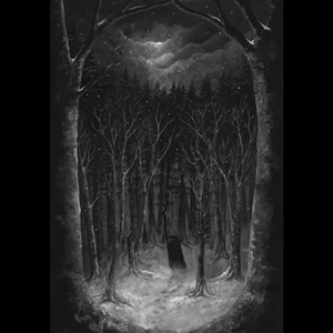 Paysage d'Hiver - Im Wald
