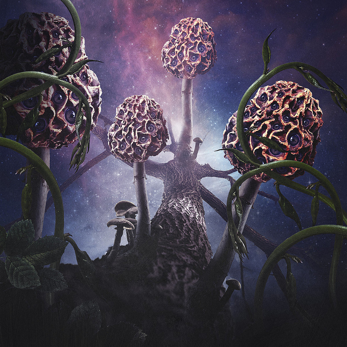 The Interdimensional Exploration of Blut aus Nord's 
